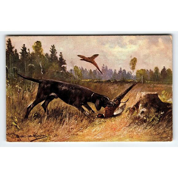 Signed Muller Artist Card Hunting Dog with Pheasant Vintage Postcard - Picture 1 of 2